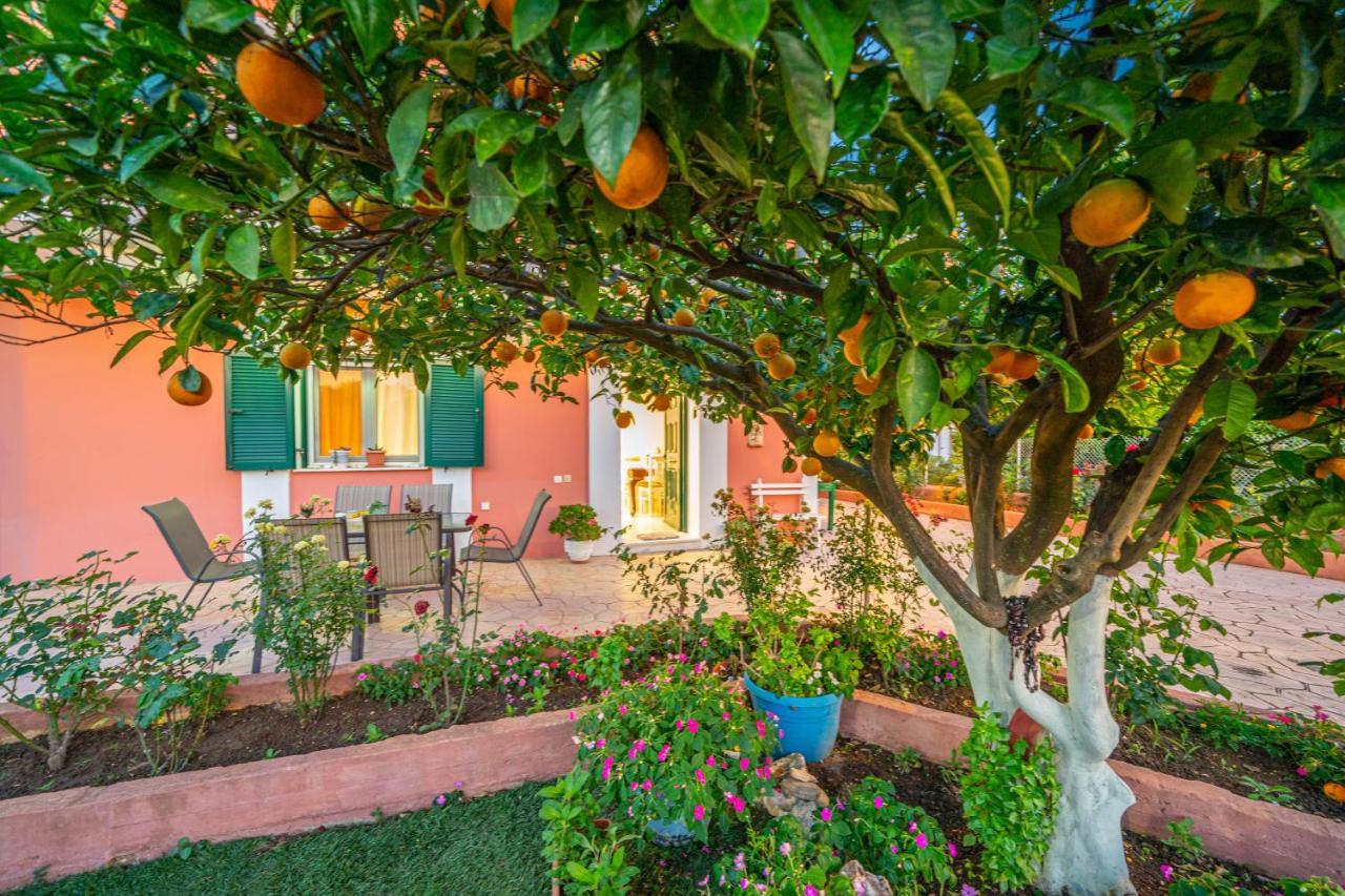 Artemis Superb 2 Bedroom Apartment 700 M Away From The Beach Minia Extérieur photo