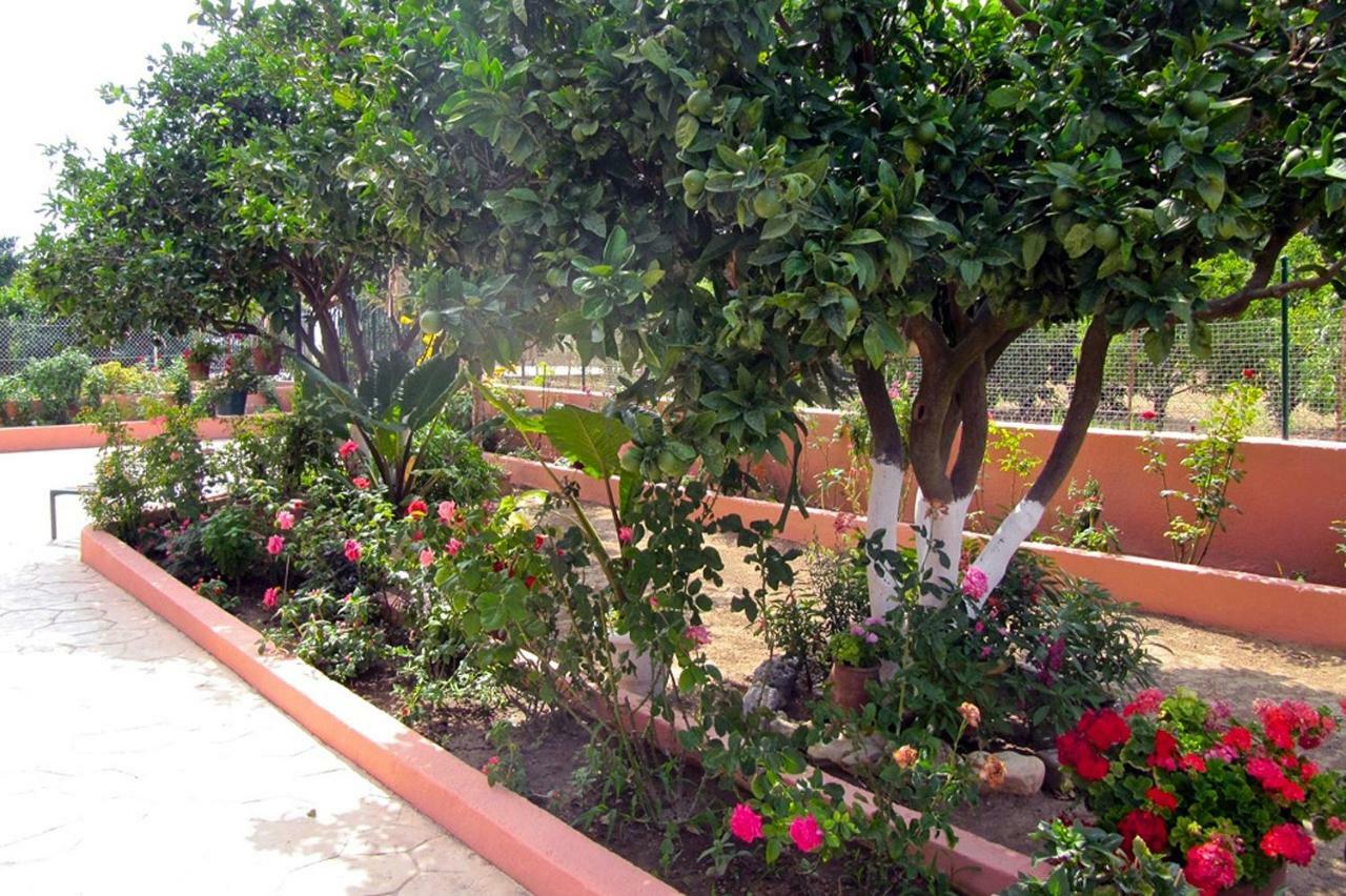Artemis Superb 2 Bedroom Apartment 700 M Away From The Beach Minia Extérieur photo
